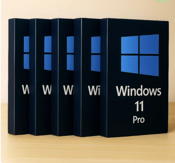 5 x Windows 11 Pro
