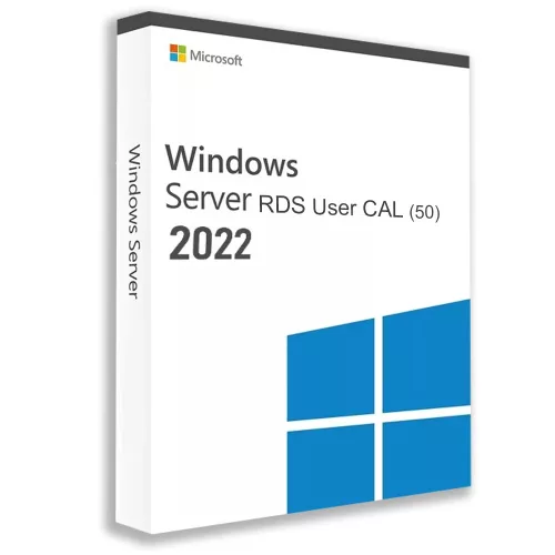 Microsoft Windows Server 2022 Remote Desktop Services CAL