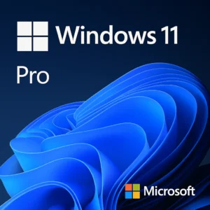 Microsoft Windows 11 Pro