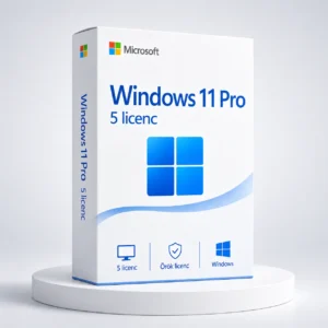 5 x Windows 11 Pro